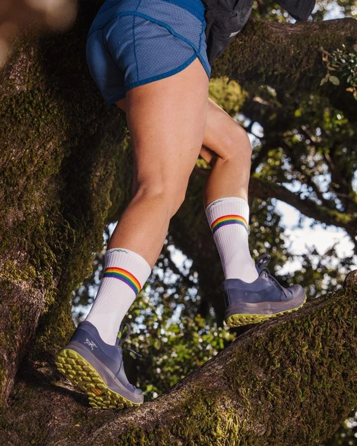 Darn Tough Women's Prism Crew Light Cushion Athletic Sock (1110) - Image 2